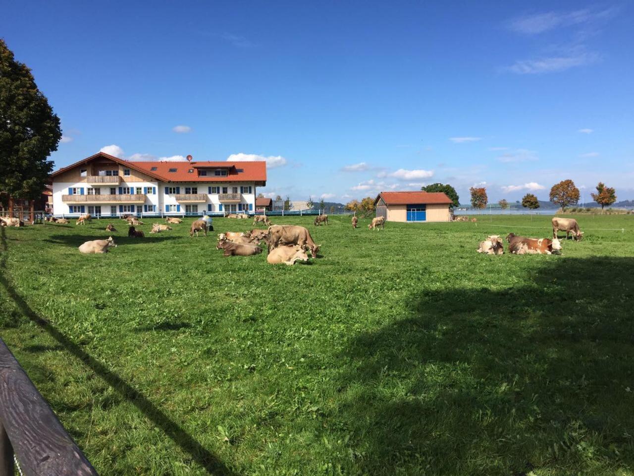 Alpenglueck De Luxe Ferienwohnung Am Forggensee Швангау Екстер'єр фото